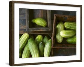 Braising Cucumbers in Wooden Boxes-Jan-peter Westermann-Framed Photographic Print