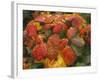 Bramble Leaves in Autumn-null-Framed Photographic Print