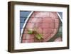 Bramble (Rubus Plicatus) Growing Up Wall Covered in Graffiti, Bristol, UK-Michael Hutchinson-Framed Photographic Print