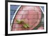 Bramble (Rubus Plicatus) Growing Up Wall Covered in Graffiti, Bristol, UK-Michael Hutchinson-Framed Photographic Print