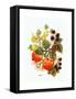 Brambles, Apples and Grapes-Nell Hill-Framed Stretched Canvas