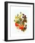 Brambles, Apples and Grapes-Nell Hill-Framed Giclee Print