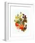 Brambles, Apples and Grapes-Nell Hill-Framed Giclee Print