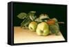 Bramleys-Jenny Barron-Framed Stretched Canvas