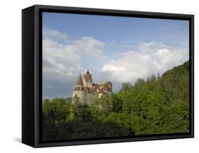 Bran Castle, Bran, Transylvania, Romania, Europe-Gary Cook-Framed Stretched Canvas