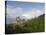 Bran Castle, Bran, Transylvania, Romania, Europe-Gary Cook-Stretched Canvas