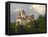 Bran Castle, Bran, Transylvania, Romania, Europe-Gary Cook-Framed Stretched Canvas