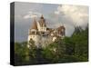 Bran Castle, Bran, Transylvania, Romania, Europe-Gary Cook-Stretched Canvas