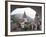 Bran Castle (Dracula Castle), Bran, Transylvania, Romania, Europe-Marco Cristofori-Framed Photographic Print