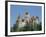 Bran Castle (Dracula's Castle), Transylvania, Romania-Charles Bowman-Framed Photographic Print