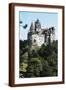 Brown Frame