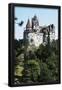 Essential Black