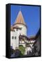 Bran Castle, Tansylvania, Romania, Europe-Rolf Richardson-Framed Stretched Canvas