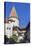 Bran Castle, Tansylvania, Romania, Europe-Rolf Richardson-Stretched Canvas