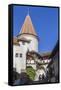 Bran Castle, Tansylvania, Romania, Europe-Rolf Richardson-Framed Stretched Canvas