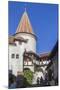 Bran Castle, Tansylvania, Romania, Europe-Rolf Richardson-Mounted Photographic Print