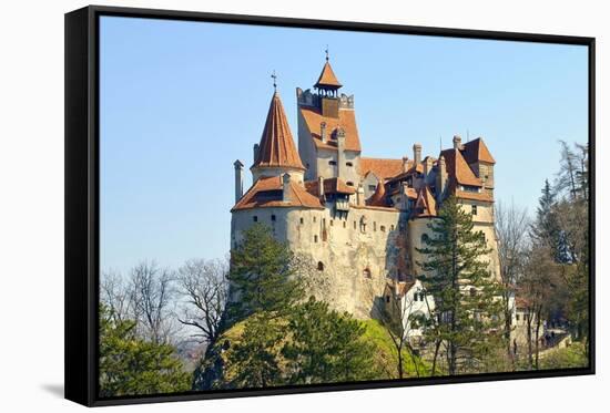 Bran Castle, Transylvania (Dracula`S Castle)-Adi Ciurea-Framed Stretched Canvas