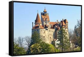 Bran Castle, Transylvania (Dracula`S Castle)-Adi Ciurea-Framed Stretched Canvas