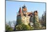 Bran Castle, Transylvania (Dracula`S Castle)-Adi Ciurea-Mounted Photographic Print