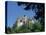 Bran Castle, Transylvania, Romania, Europe-Charles Bowman-Stretched Canvas