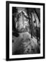 Bran Castle, Transylvania, Romania-Simon Marsden-Framed Giclee Print