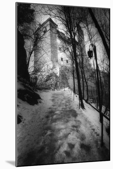 Bran Castle, Transylvania, Romania-Simon Marsden-Mounted Giclee Print