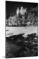 Bran Castle, Transylvania, Romania-Simon Marsden-Mounted Giclee Print