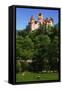 Bran Castle-Charles Bowman-Framed Stretched Canvas