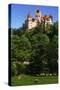 Bran Castle-Charles Bowman-Stretched Canvas