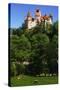 Bran Castle-Charles Bowman-Stretched Canvas