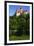 Bran Castle-Charles Bowman-Framed Photographic Print