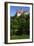 Bran Castle-Charles Bowman-Framed Photographic Print