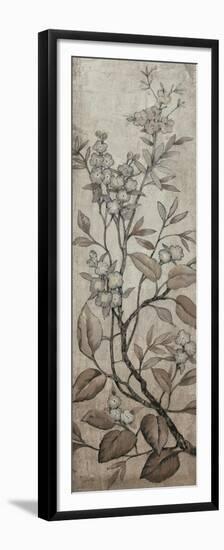 Branch and Blossoms I-Tim O'toole-Framed Premium Giclee Print