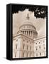 Branch Before U.S. Capitol-David Papazian-Framed Stretched Canvas
