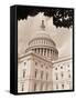 Branch Before U.S. Capitol-David Papazian-Framed Stretched Canvas