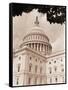 Branch Before U.S. Capitol-David Papazian-Framed Stretched Canvas