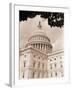 Branch Before U.S. Capitol-David Papazian-Framed Premium Photographic Print