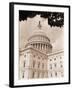 Branch Before U.S. Capitol-David Papazian-Framed Premium Photographic Print