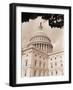 Branch Before U.S. Capitol-David Papazian-Framed Photographic Print