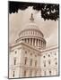 Branch Before U.S. Capitol-David Papazian-Mounted Photographic Print