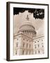 Branch Before U.S. Capitol-David Papazian-Framed Photographic Print