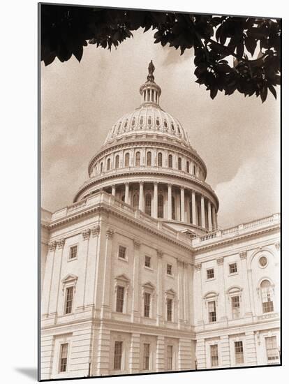 Branch Before U.S. Capitol-David Papazian-Mounted Photographic Print