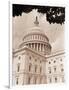 Branch Before U.S. Capitol-David Papazian-Framed Photographic Print