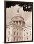 Branch Before U.S. Capitol-David Papazian-Framed Photographic Print