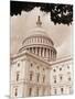 Branch Before U.S. Capitol-David Papazian-Mounted Photographic Print