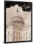 Branch Before U.S. Capitol-David Papazian-Framed Photographic Print
