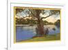 Branch Brook Park, Newark, New Jersey-null-Framed Premium Giclee Print