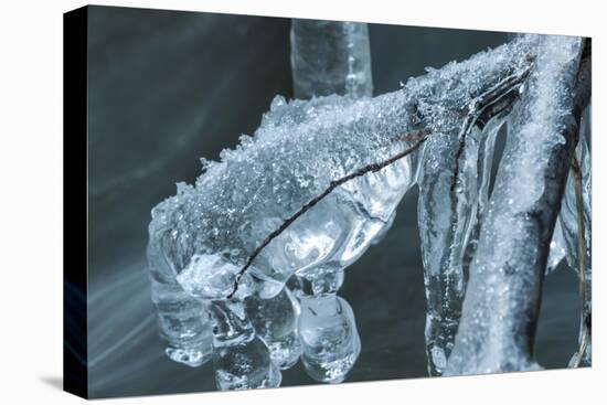 Branch Encapsulated In Ice Over Creek-Anthony Paladino-Stretched Canvas