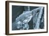 Branch Encapsulated In Ice Over Creek-Anthony Paladino-Framed Giclee Print
