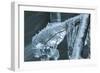 Branch Encapsulated In Ice Over Creek-Anthony Paladino-Framed Giclee Print